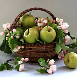Jigsaw puzzle: Green apples