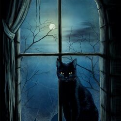 Jigsaw puzzle: Cat at the window
