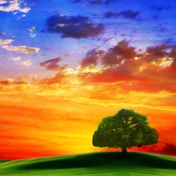 Jigsaw puzzle: Sunset over the fields
