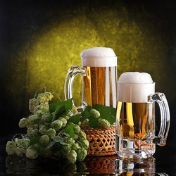Jigsaw puzzle: Hops and beer