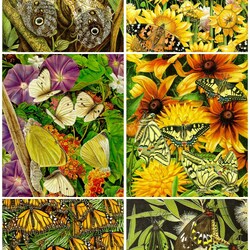 Jigsaw puzzle: Butterflies and flowers