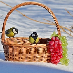 Jigsaw puzzle: Still life in the snow