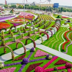 Jigsaw puzzle: Flower Park in Dubai