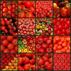 Jigsaw puzzle: Tomatoes