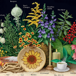 Jigsaw puzzle: Plant gifts