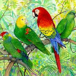 Jigsaw puzzle: Parrots