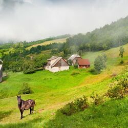 Jigsaw puzzle: Summer in the countryside