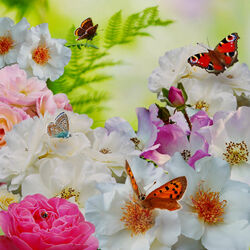 Jigsaw puzzle: Butterflies and flowers