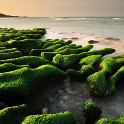 Jigsaw puzzle: Boulders in green clothes
