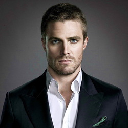 Jigsaw puzzle: Stephen Amell