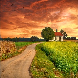 Jigsaw puzzle: Road home
