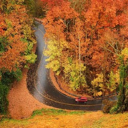 Jigsaw puzzle: On an autumn road