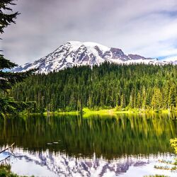 Jigsaw puzzle: Forest around the lake