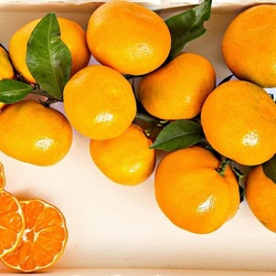 Jigsaw puzzle: Tangerines