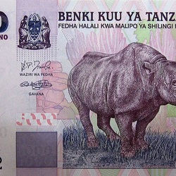 Jigsaw puzzle:  5,000 Tanzanian shillings