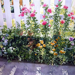 Jigsaw puzzle: Flower bed