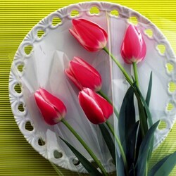 Jigsaw puzzle: Tulips on a plate
