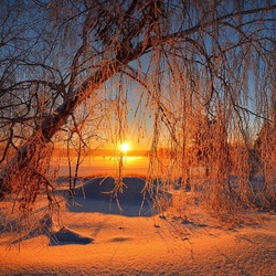 Jigsaw puzzle: Sun in the snow