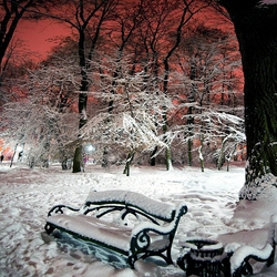 Jigsaw puzzle: Bench in the park