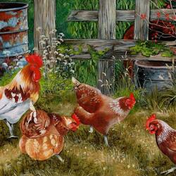 Jigsaw puzzle: Rooster farm