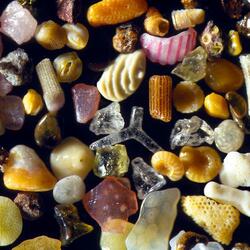 Jigsaw puzzle: Sea sand under the microscope