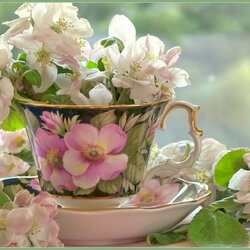 Jigsaw puzzle: Flowers in a cup