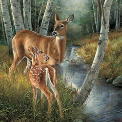 Jigsaw puzzle: Mom with a fawn