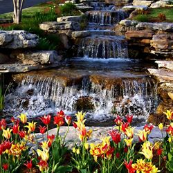 Jigsaw puzzle: Tulips and waterfall