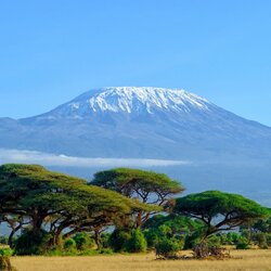 Jigsaw puzzle: Mount Kilimanjaro