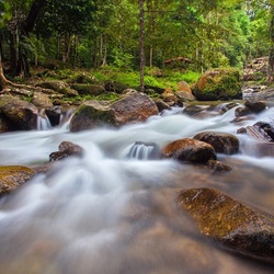 Jigsaw puzzle: Stream of water in the forest