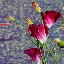 Jigsaw puzzle: Eustoma and parrot