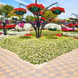 Jigsaw puzzle: The world's largest flower park