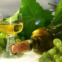 Jigsaw puzzle:  Wine and grapes