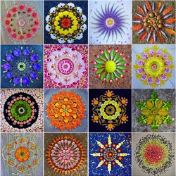 Jigsaw puzzle: Flower mandala