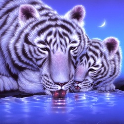 Jigsaw puzzle: Night watering hole
