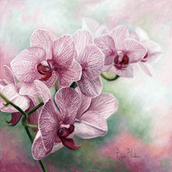 Jigsaw puzzle: Orchid branch