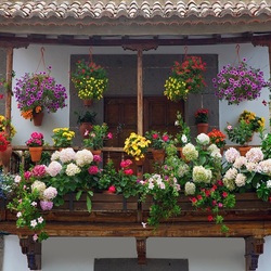 Jigsaw puzzle: Balcony in flowers