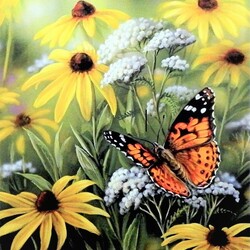 Jigsaw puzzle: Butterfly in flowers