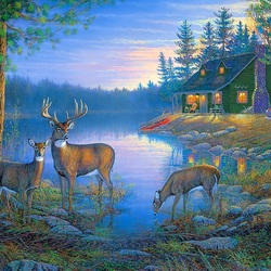 Jigsaw puzzle: Secluded lake