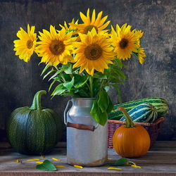 Jigsaw puzzle: Still life with sunflowers and pumpkins