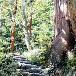 Jigsaw puzzle: Path in the forest