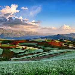 Jigsaw puzzle: Multicolored fields of China