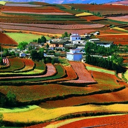 Jigsaw puzzle: Multicolored fields of China