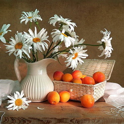 Jigsaw puzzle: Chamomile and apricot