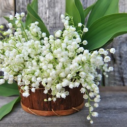 Jigsaw puzzle: Lily of the valley basket