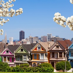 Jigsaw puzzle: Spring in San Francisco