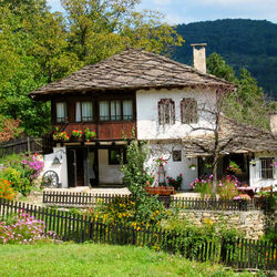 Jigsaw puzzle: House in the village