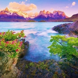 Jigsaw puzzle: The nature of Patagonia