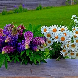 Jigsaw puzzle: Two bouquets