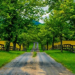 Jigsaw puzzle: Road to the village